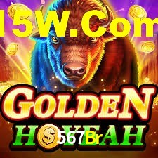 567Br App Interface